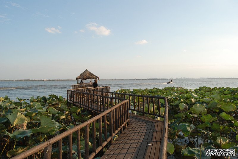 莲花岛一日游
