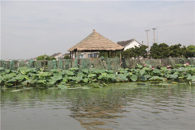 阳澄湖一日游价格